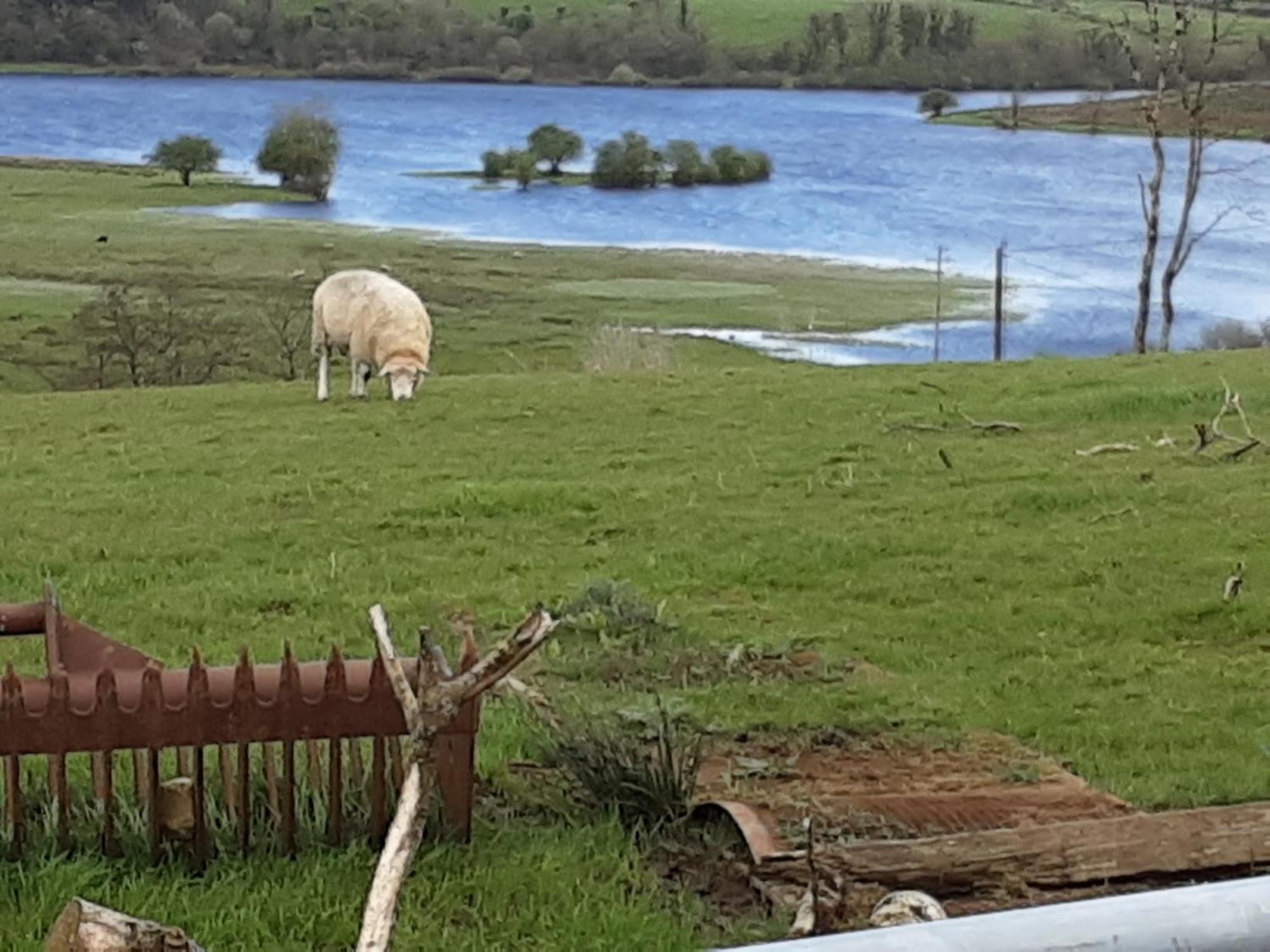 Hawthorn Lodge Belturbet Esterno foto